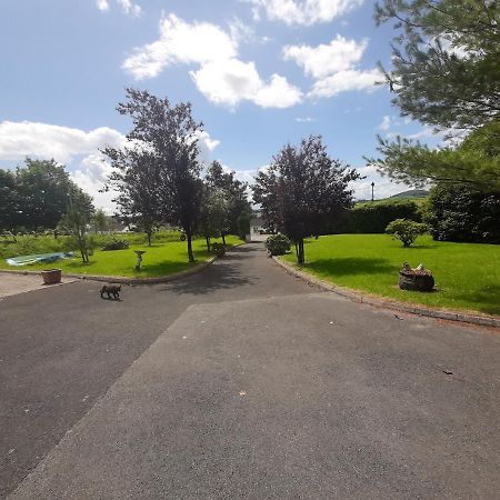 The Laurels Villa Waterford Exterior foto