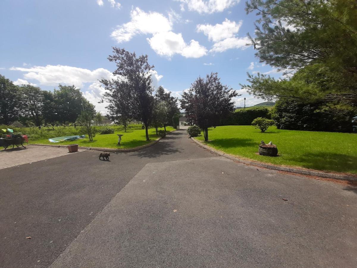 The Laurels Villa Waterford Exterior foto